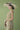 sand-dune-offshoulder-side-scrunch-top All About Eve