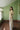 Eve India women Clothing Sculpted Calm Set