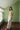 Eve India women Clothing Sculpted Calm Set